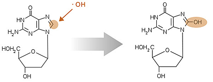デオシキグアノシンの酸化反応